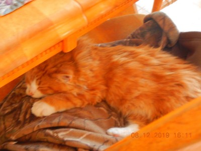 DSCN2395.JPG