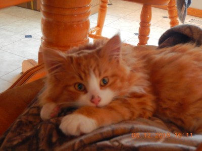 DSCN2396.JPG