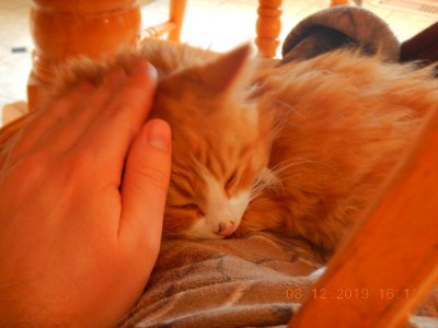 DSCN2405.JPG