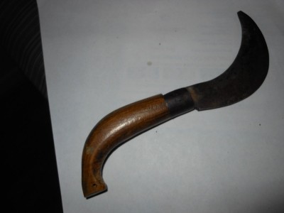 DSCN0444.JPG