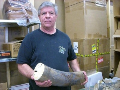 Bill Feeney.jpg