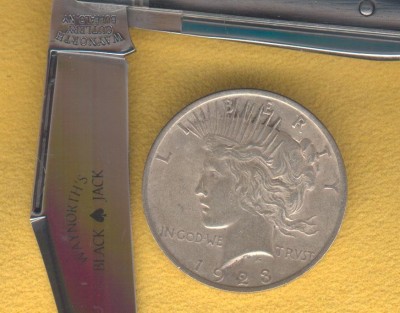 3244560008911407.jpg