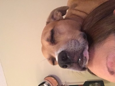 IMG_8919.jpeg