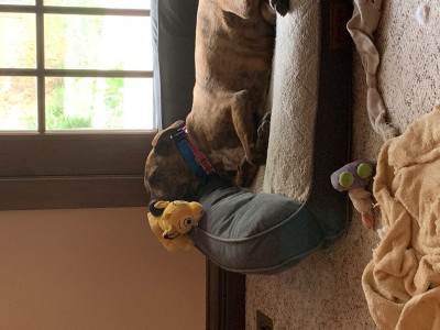 IMG_1432.jpeg