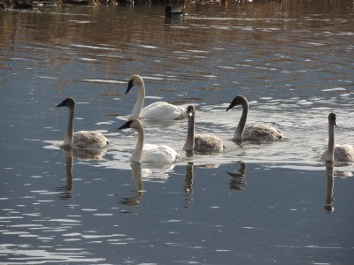DSCN1082.JPG