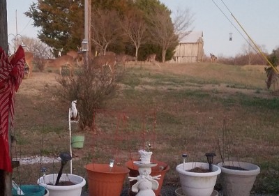 20191231_205436.jpg