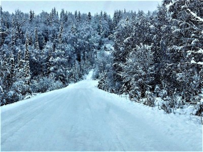 NO I'm not driving down that road.