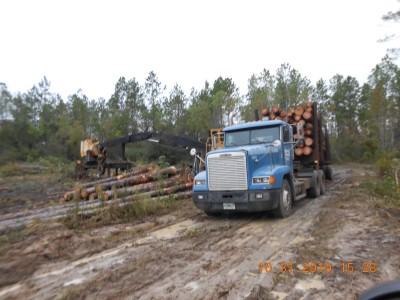 007.JPG (227.39 KiB) Viewed 1297 times Here's a 30 ton load.