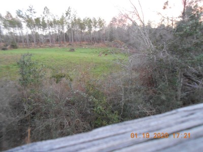 004.JPG (266.92 KiB) Viewed 1297 times click on the pic and you can probably see the critters.