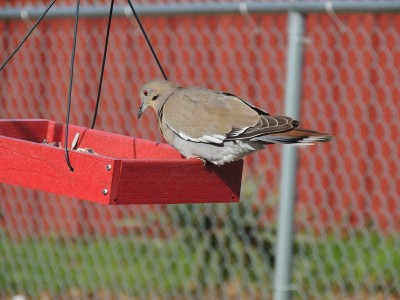 DSCN6202.JPG