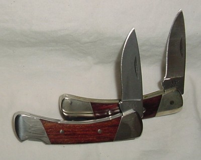 buck_505.jpg