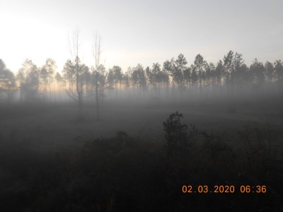 Fog across the green field before sun rise