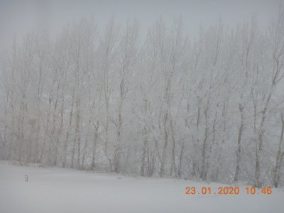 DSCN2572.JPG