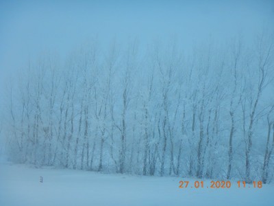 DSCN2580.JPG