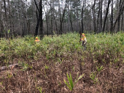 897D1E4C-327B-4FE6-8D58-67CB472734B2.jpeg