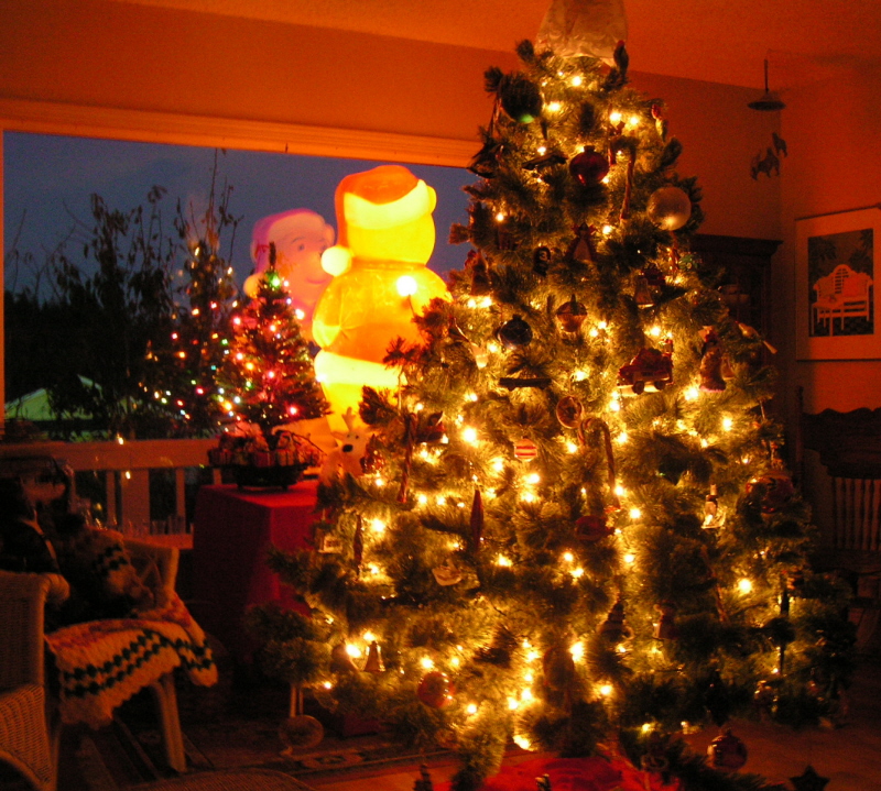 PICT0001s.jpg