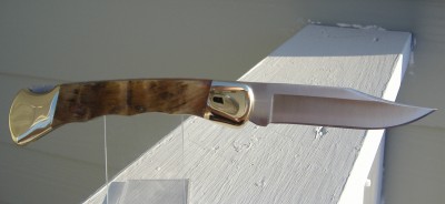 buck_110_fg_ram_horn__2.jpg