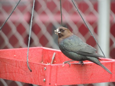 DSCN6214.JPG