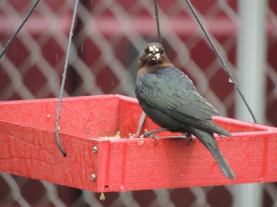 DSCN6216.JPG