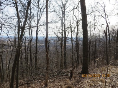 Bake Oven Knob.JPG