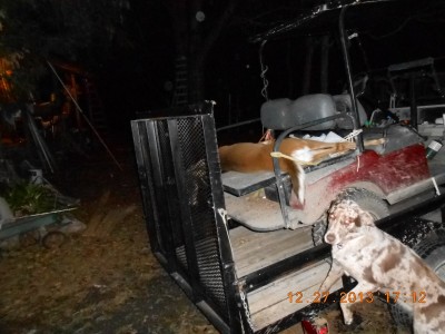 12-27-13 1712.JPG (238.96 KiB) Viewed 1827 times Cart on trailer with dog investigating