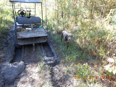 Needed a little pull to get out of this slick spot.