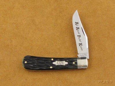aapk2016 (1).jpg