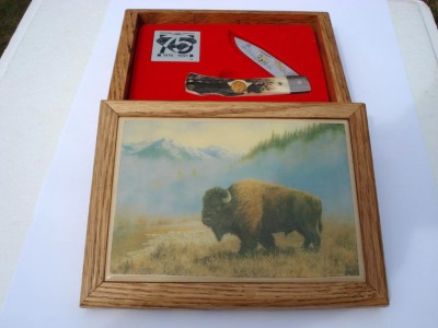 National Parks 75TH Ann.jpg