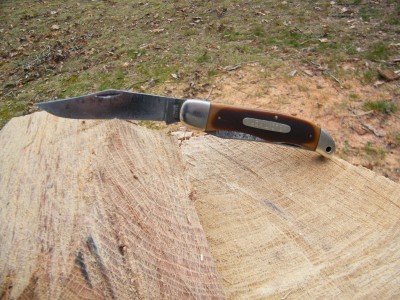 DSCF2127.JPG