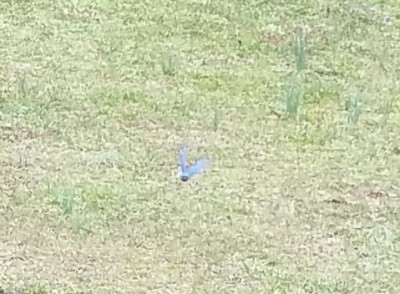 20200317_095957.jpg