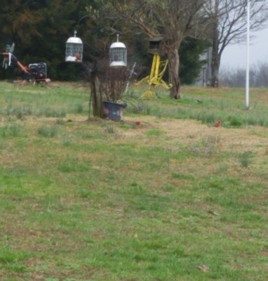 20200317_100335.jpg