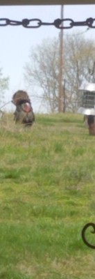20200403_144555.jpg