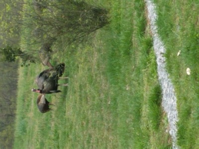20200403_142623.jpg
