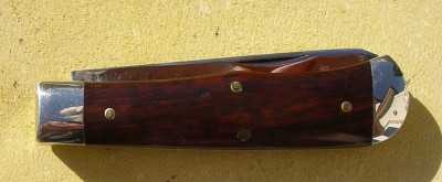 IMGP8770.JPG