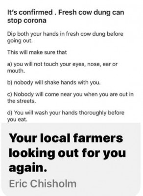 COW DUNG.jpg