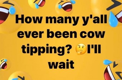 COW TIPPING.jpg