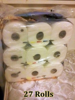 Toliet Paper 1.jpg