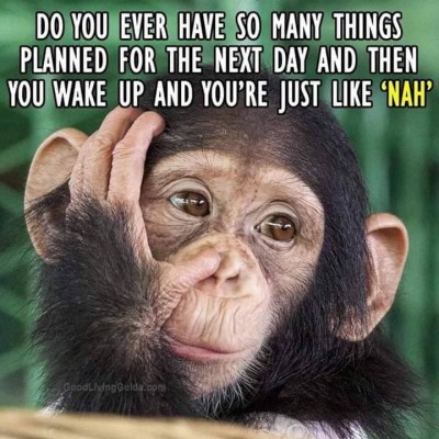 NAH.jpg