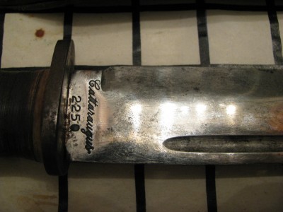 Catt225Q 3.jpg