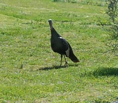 20200410_182748.jpg