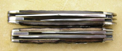IMGP8803.JPG