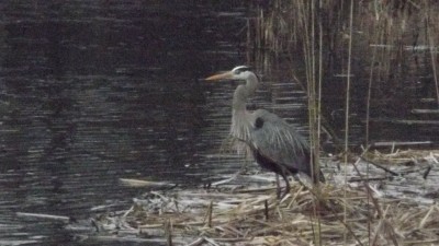 DSCF3010.JPG