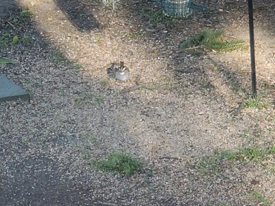 20200422_081116.jpg