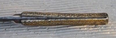 DSC_1726.JPG