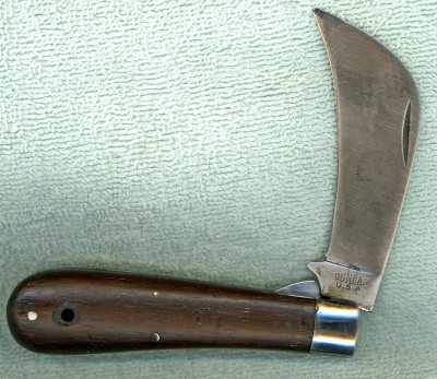 Dunlap Hawkbill #3.jpg