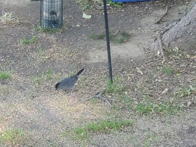 20200505_075911.jpg