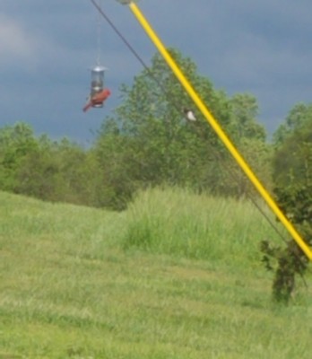 20200505_180821.jpg