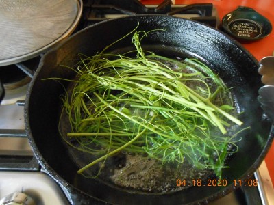 017.JPG (306.09 KiB) Viewed 1746 times A mess of green brier tips in the black iron skillet, sauteing in butter seasoned with salt