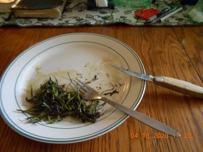 022.JPG (238.18 KiB) Viewed 1746 times Finished product, everyone said they were tasty!