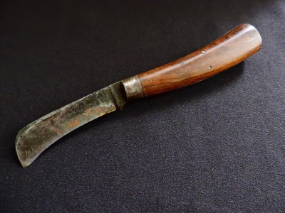 DSCN2905.JPG